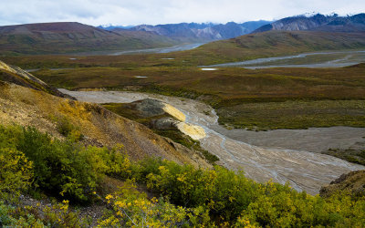 Denali Tundra3.jpg