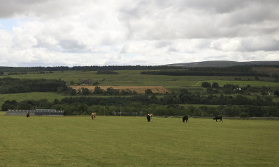 rural highlands - 2.jpg