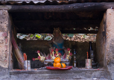 Small shrine hidden away in an orchard