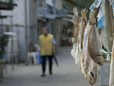 Fish drying, Tai O, Lantau Island