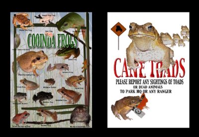 Frogs poster and Toad poster for national parks