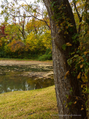 fall-14-3.jpg
