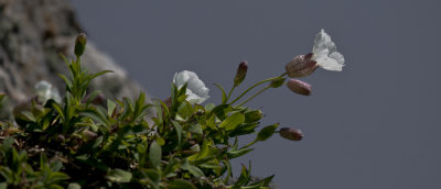 Spring 2013 (16 of 18).jpg