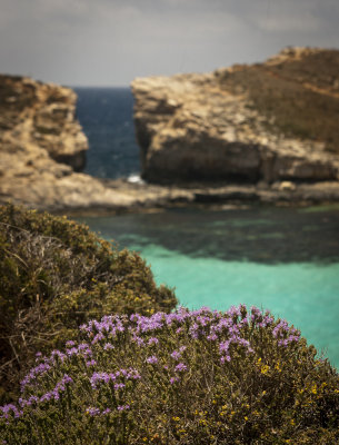 Malta 2013 Comino - Blue lagoon 2.jpg