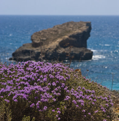 Malta 2013 Comino.jpg