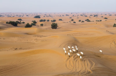 g9/58/357558/3/155063792.dZ3nBHe5.jpg