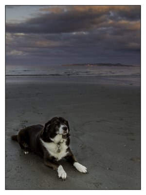 Donabate
