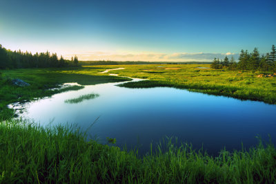 Saltmarsh, Lower East Chezzetcook, Nova Scotia