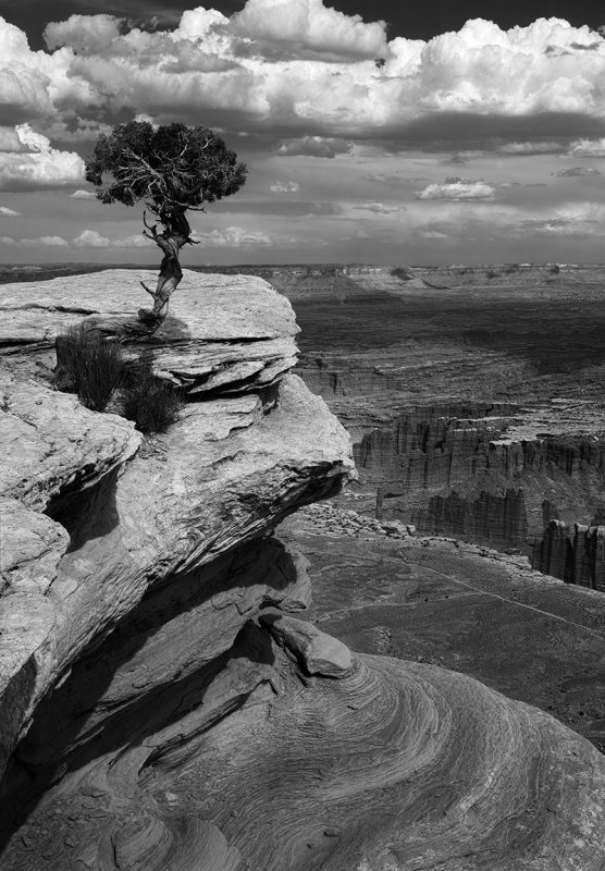 Canyonlands National Park #2