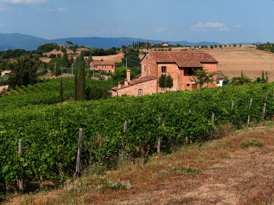 Our Villa, Il Fitto Winery