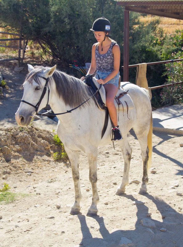 Estepona2014_467.jpg