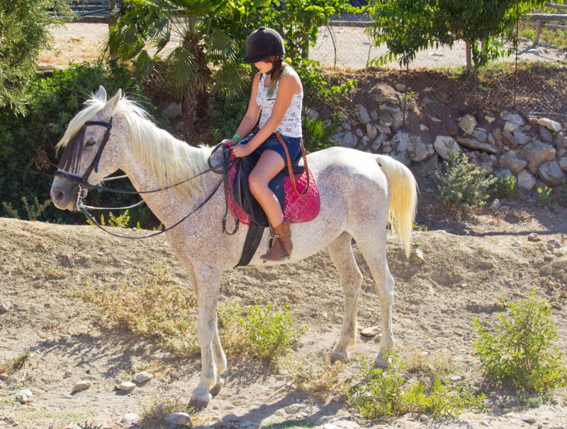 Estepona2014_468.jpg