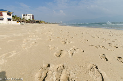 Danang Plage.jpg