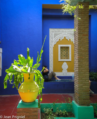 Majorelle