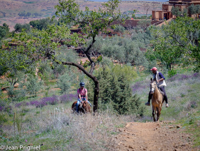 Terres Amanar