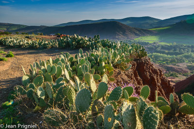 Terre Amanar