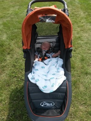 Snoozing in his swank new stroller... thanks for the sweet ride,  Hickey family!