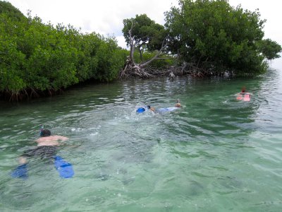 Uncle Eric, Simon, and Aunt Emmy check out the underwater scene at Tarpon Belly Key