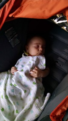 July: Two Months Old!