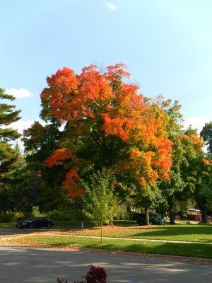 Fall is coming to Northfield