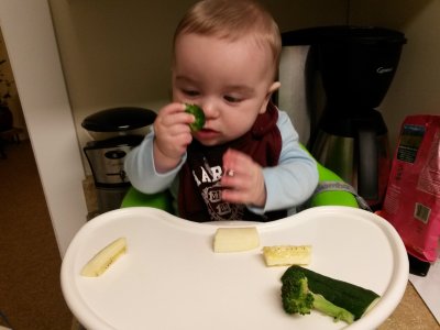 Time to try eating!  Jack contemplates the broccoli. 