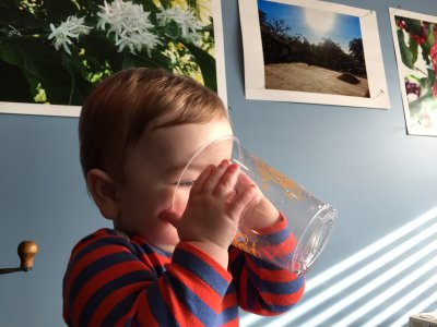 Gotta chug it down