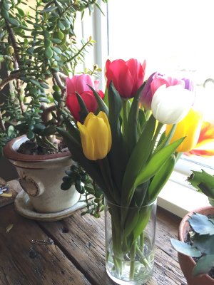 Thanks for the beautiful Easter flowers, Nana and Papa!