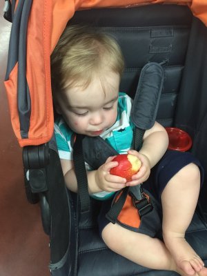 Chomping on a pear from the Co-op