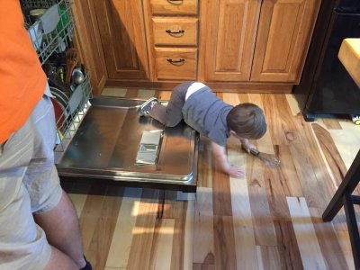 This kid can get in and out of the dishwasher in under 5 seconds