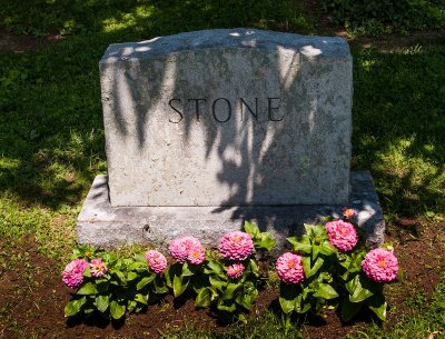 Stone 7