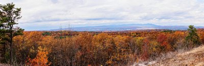 Autumn Colors I