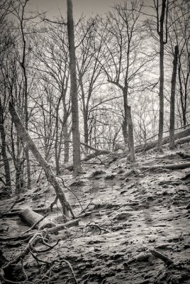 Dewey Mt. 4