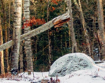 Dewey Mt. 13