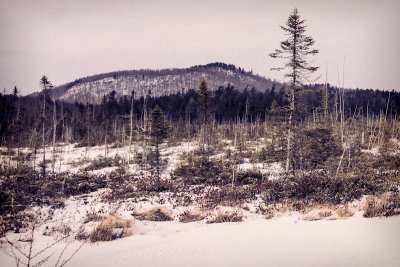 Adirondack Winter Vacation