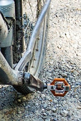 pedal