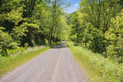 Pine Creek Rail Trail i