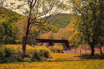 Pine Creek Rail Trail ii