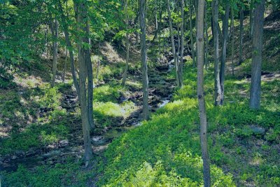 Pine Creek 4