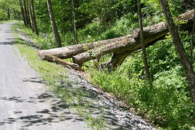 Pine Creek Rail Trail iv