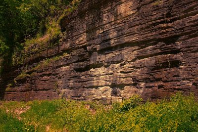 Pine Creek 5