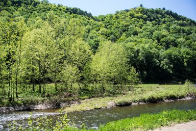 Pine Creek 6