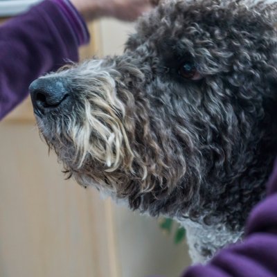 wally 14