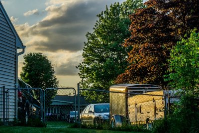 evening light