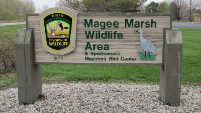 Magee sign 2014