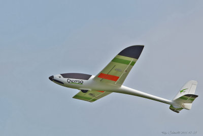 Calypso Glider, my first glider