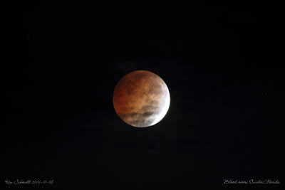 Blood-moon, lunar eclipse 2014