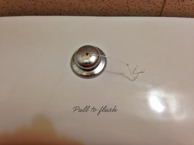 One way to flush the toilet