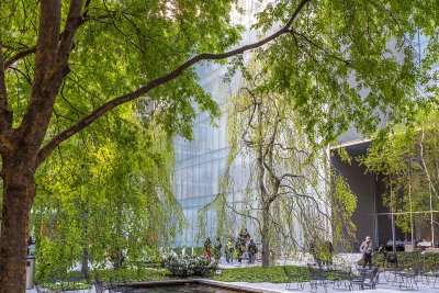 MOMA Sculpture Garden