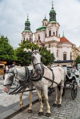 Horse and Carriage
