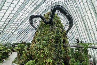 Cloud Forest Dome